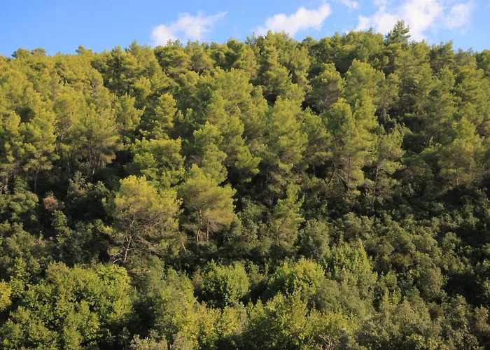 By The Sea Prigradica, Korcula - 9288 *