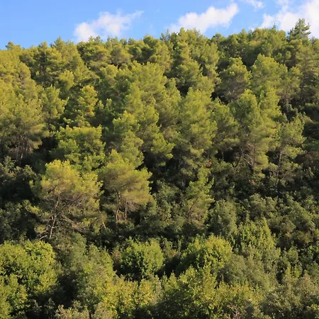 By The Sea Prigradica, Korcula - 9288 *
