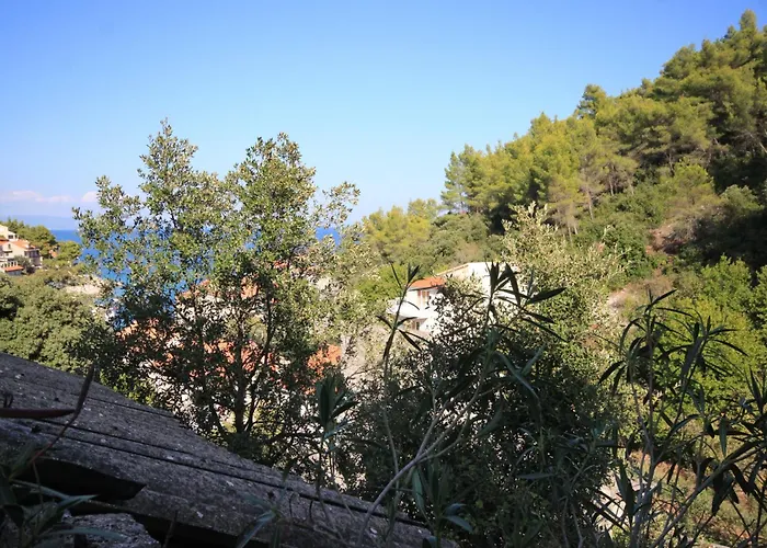 By The Sea Prigradica, Korcula - 9288 Apartment Blato (Korcula)